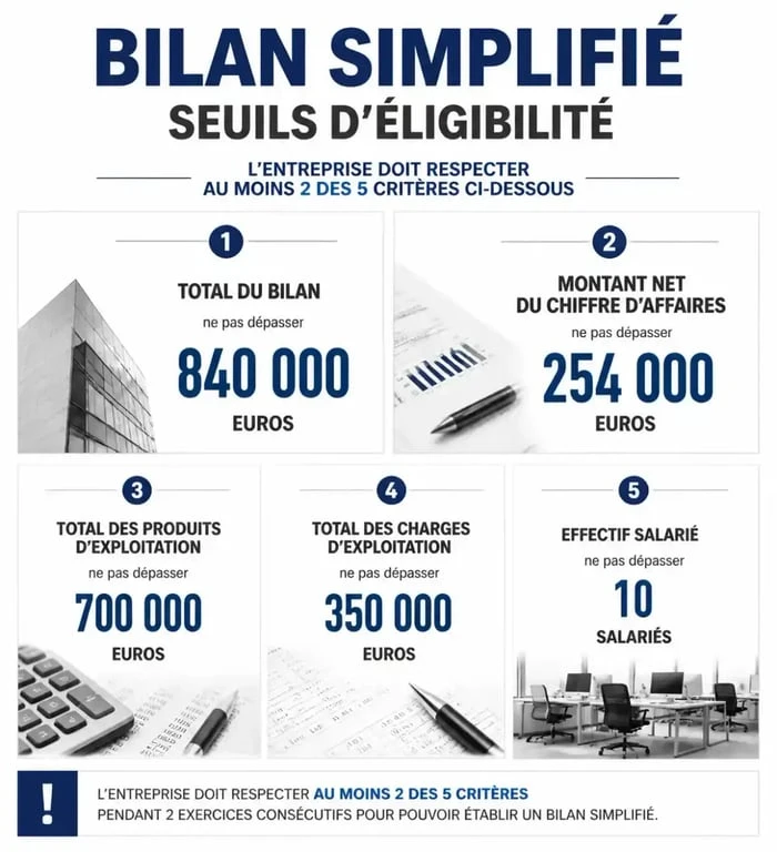 Bilan simplifié : seuils d'éligibilité et guide pratique pour le remplir sans erreur 2 Infographie des seuils d'éligibilité pour un bilan simplifié